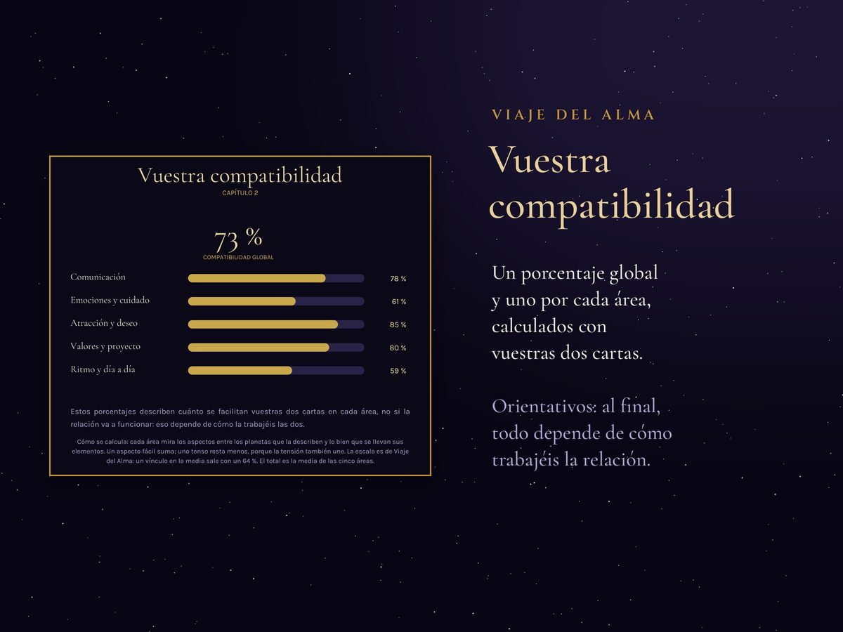 Página de un informe real: el porcentaje de compatibilidad global y una barra por cada área